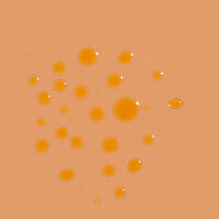 Aceite Solar Zanahoria SPF6  200ml-198809 Aceite Solar Zanahoria SPF6  200ml-198809 1